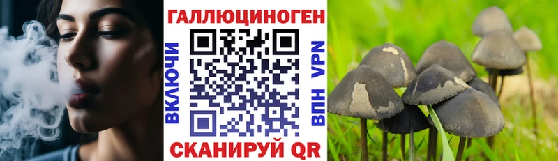 дарнет шоп  Томск  Галлюциногенные грибы мухоморы 